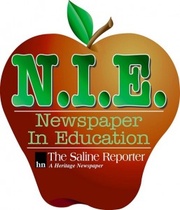 nie logo