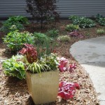 Walkway with planter & flowers