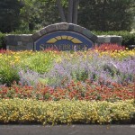 Flower bed at entranceway
