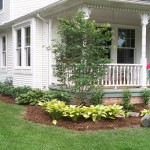 Hostas climbing porch