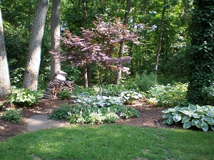 Shade Garden of Hostas