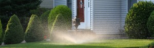 Are You Overwatering Your Yard? Post Thumbnail