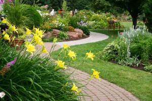 rejuvenated yard with flowers