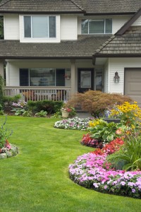 softscape-manicured-yard