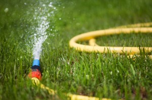 Yard irrigation