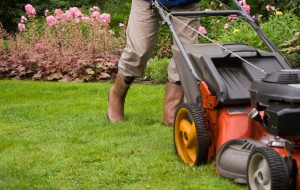 Commercial Property, HOA, Landscape, Seasonal Cleanup, Yard Maintenance