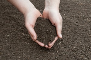 Soil Testing Post Thumbnail