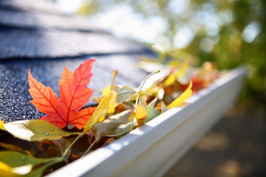 Keeping Your Gutters and Downspouts Free of Clogs This Fall Post Thumbnail