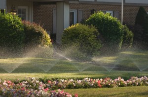 Happy April 1st….with FREE IRRIGATION MAINTENANCE SERVICES…. No Joke! Post Thumbnail