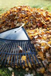 The Most Essential Gardening Tools Post Thumbnail