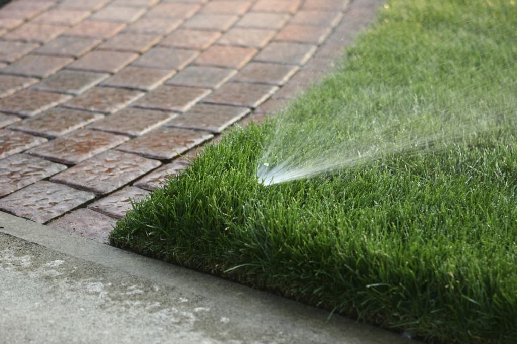 When Should I Turn My Irrigation Back on After Winter?