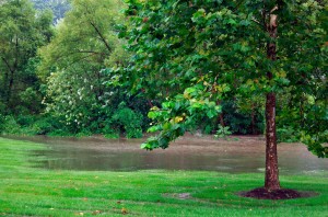 Landscape drainage contractor - Ann Arbor