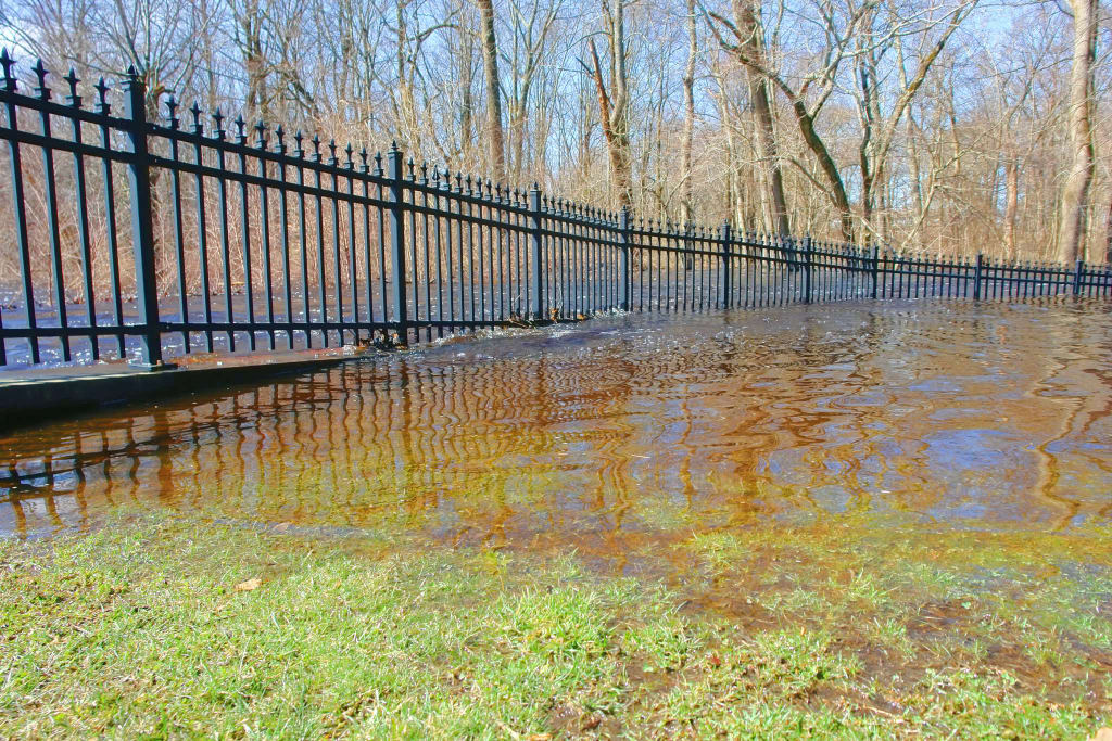 How Damaging Can Standing Water Be to Your Yard? Post Thumbnail