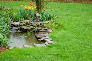 Preparing Your Yard for Excess Storm Water Post Thumbnail