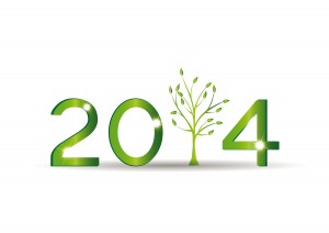 New Year 2014