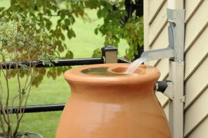 Rain Barrel