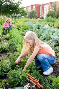 Young Girls Working In Vegetable Garden