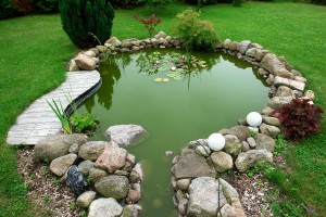 Beautiful Classical Design Garden Fish Pond Gardening Background