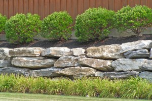 Which Hardscapes Should You Consider Composing From Natural Stone? Post Thumbnail