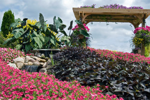 Garden Arch