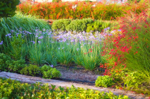 Landscaping in the garden