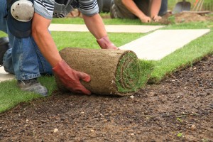 Sod Installers Ann Arbor MI