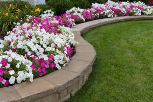 retaining wall garden with pink and white flowers