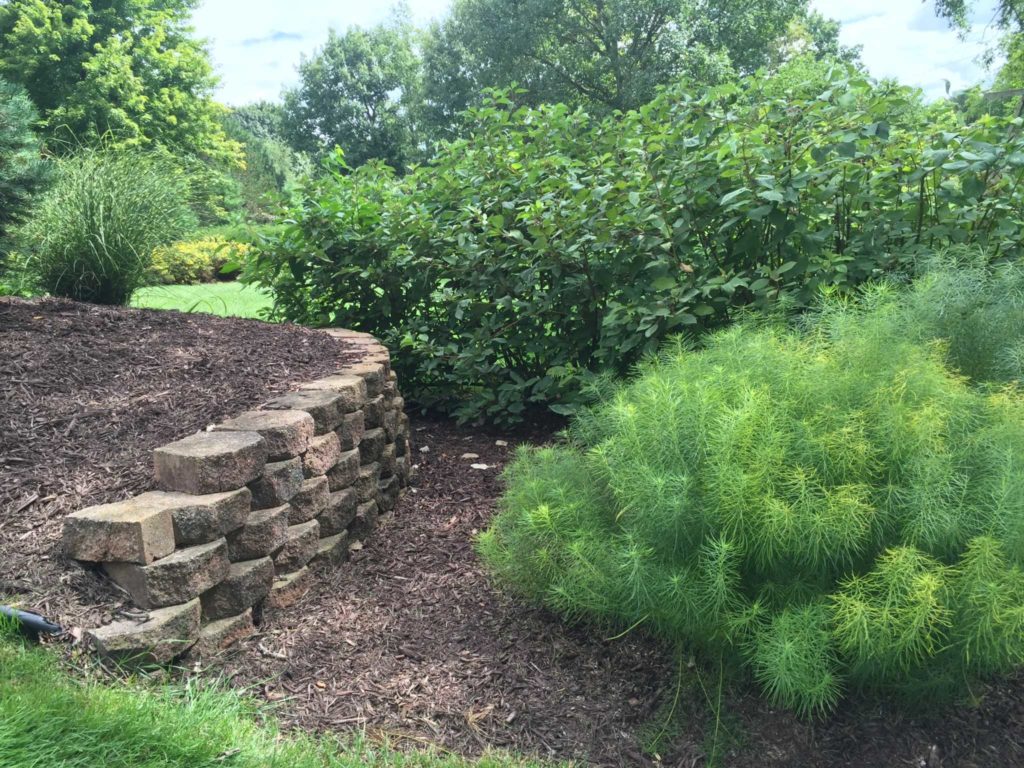 Wall within raised bed