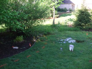 Standing water in a residential yard.