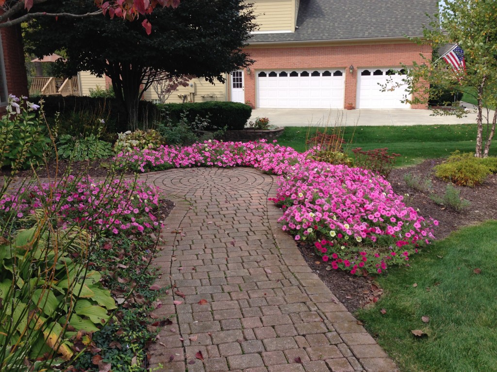 Walkway With Flowers