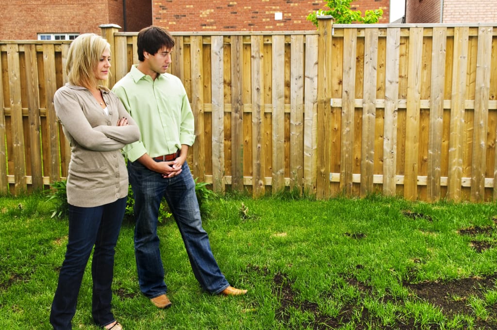 Ridding Your Yard of Standing Water Post Thumbnail