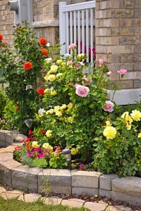 Natural stone landscaping in home rose garden