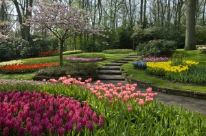 stone walkways bordered by colorful flowers.