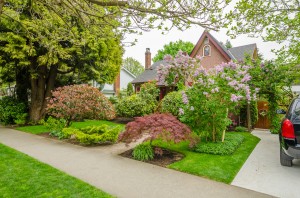 Landscape Contractors Ann Arbor MI