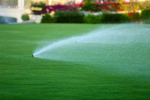 How to Protect Your Sprinkler System This Winter Post Thumbnail