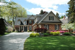 House With Black Shutters