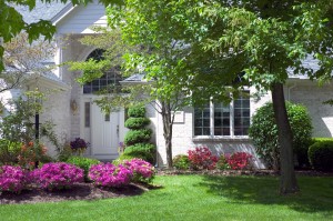 The Best Landscaping Projects for Spring Post Thumbnail