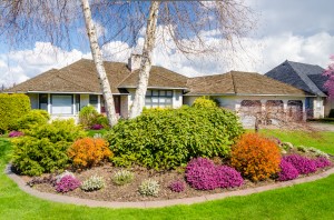 Outdoor landscape garden in North Vancouver, British Columbia, C