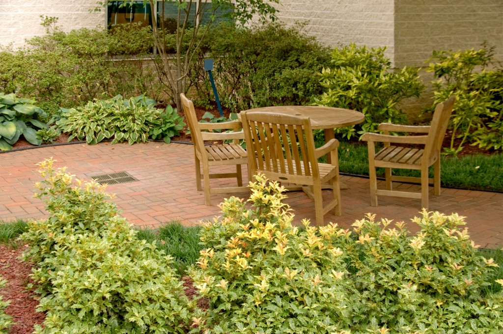 Landscaping Adds Value to Your Commercial Property