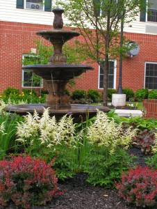 Using Softscapes to Accent Your New Outdoor Water Feature Post Thumbnail