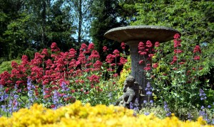 many colorful flowers and bird bath