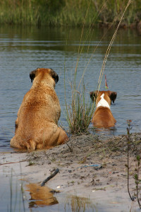 Cooling Off