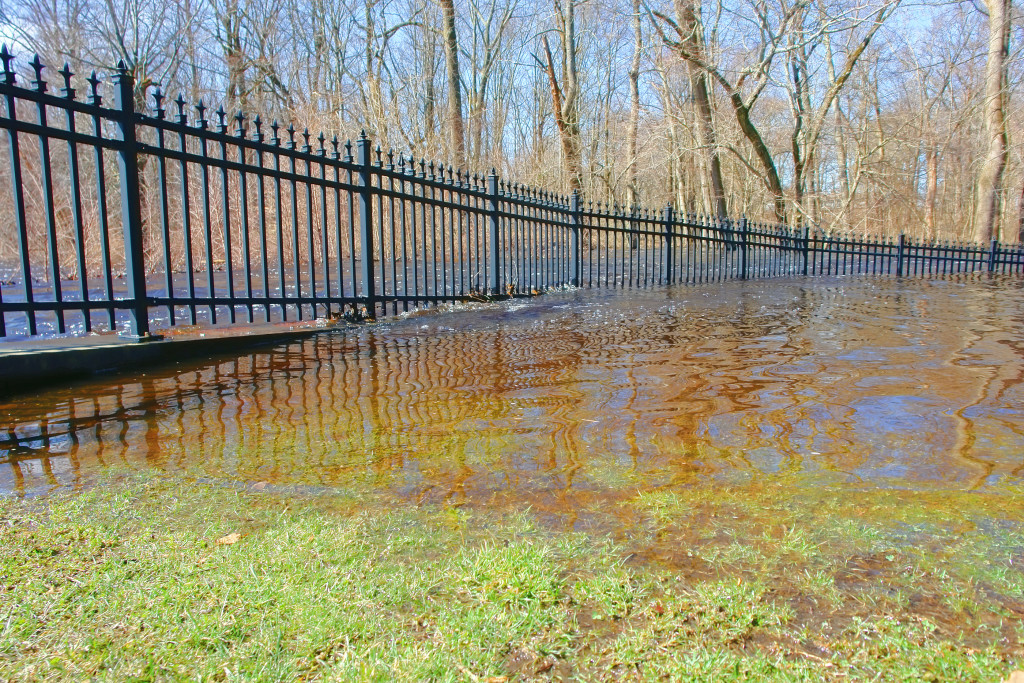 Five Potential Causes of Standing Water in Your Yard