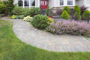 Brick paver walkway going up to a front door.