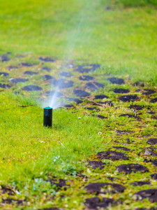 Gardening. Lawn Sprinkler Spraying Water Over Grass.
