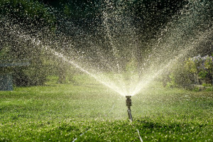 Using a Sprinkler System to Provide Irrigation for Your Yard Post Thumbnail