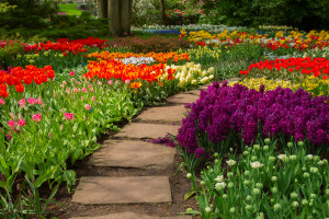 Stone path winding in a garden