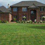 After- New Landscape