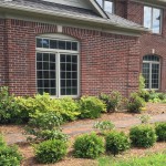 After - New Plantings