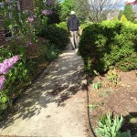 Before - Overgrown and Old Cement Walkway